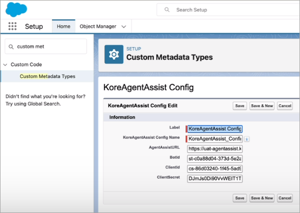 Custom Metadata Type